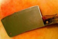 ΔΕΝ ΉΤΑΝ ΤΡΕΛΉ ΆΛΛΑ ΑΠΕΛΠΙΣΜΈΝΗ