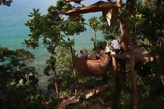 Εστιατόριο σερβίρει μέσα σε.. δέντρα!