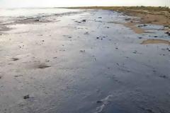 Μαρτυρικός θάνατος για σκύλο στη Βιομηχανική Περιοχή Ηρακλείου