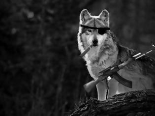 Φωτογραφία για Πυρήνες, Μοναχικοί λύκοι, δράση οργανώσεων