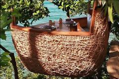 Εστιατόριο σερβίρει… πάνω στα δέντρα!