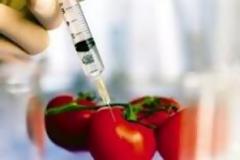 Διαψεύδει η Greenpeace τη λίστα με τα 