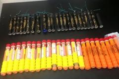 Κόρινθος: Σύλληψη αθλητή για κατοχή κροτίδων και βεγγαλικών εντός γηπέδου