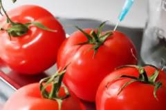 «Μαϊμού» οι λίστες με τα μεταλλαγμένα της Greenpeace