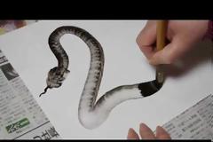 Ζωγράφος ταλέντο που ζωγραφίζει εκπληκτικά ένα φίδι! [Video]