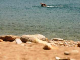 Φωτογραφία για Εκεί που οι βουτιές απαγορεύονται - Oι έξι ακατάλληλες παραλίες για κολύμβηση στην Ελλάδα
