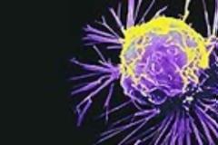 37.000 νέα κρούσματα καρκίνου στην Ελλάδα