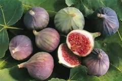 «Οπλοφορώ για να μη με φάνε... σύκο»! Ποιος πολιτικός το είπε;