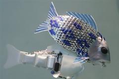 Έλληνες μαθητές δημιουργούν ρομπότ στο ΜΙΤ