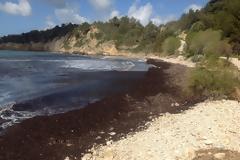 Η Ελλάδα «πυροβολεί» περιβάλλον και τουρισμό: Η περίπτωση της παραλίας Τραπεζάκι στην Κεφαλονιά