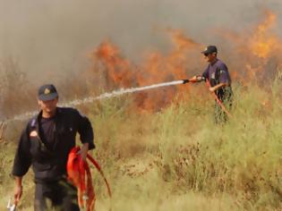 Φωτογραφία για Υπό μερικό έλεγχο η φωτιά στις Γλαφυρές Μαγνησίας