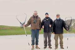 Εκατοντάδες νεκροί Αλπικοί Τρίτωνες, στην Δρακόλιμνη του Σμόλικα! Το φαινόμενο έχει προβληματίσει τους επιστήμονες