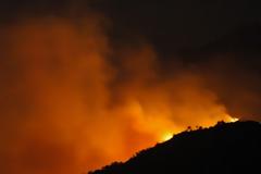 Πάτρα: Πυρκαγιά τώρα κοντά στην περιοχή της Καλλιθέας - Πνέουν ισχυροί άνεμοι