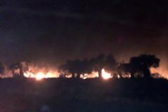 ΣΥΜΒΑΙΝΕΙ ΤΩΡΑ: Ανεξέλεγκτες πυρκαγιές στη Κυπαρισσία! Μέτωπα προς Φιλιατρά και Μεμί και γήπεδο