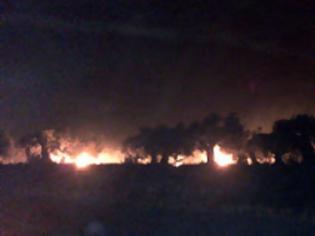 Φωτογραφία για ΣΥΜΒΑΙΝΕΙ ΤΩΡΑ: Ανεξέλεγκτες πυρκαγιές στη Κυπαρισσία! Μέτωπα προς Φιλιατρά και Μεμί και γήπεδο