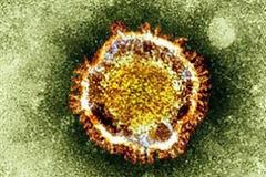 Απεβίωσε ο ένας από τους δύο ανθρώπους που προσβλήθηκαν από το νέο κορονοϊό