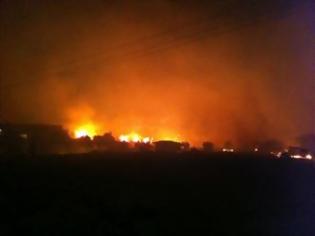 Φωτογραφία για Δείτε βίντεο από τη φωτιά στο Ν. Χανίων