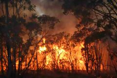 Παρακολουθήστε βίντεο με τη φωτιά στη Πάρο