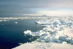 Φυτά «αναστήθηκαν» έπειτα από 400 χρόνια κάτω από τους πάγους