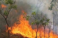 Στο έλεος της φωτιάς η Κρήτη - Ισχυροί άνεμοι φουντώνουν τον εφιάλτη