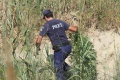 Βρήκαν δενδρύλλια χασίς στην Πάλαιρο