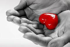 Μόνο συναινετικά η δωρεά οργάνων