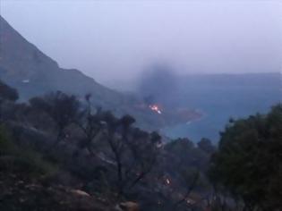 Φωτογραφία για Σκηνικό τρόμου στο Ν. Χανίων - Κάηκαν επιχειρήσεις - Εκκενώθηκαν σπίτια! Δείτε συγκλονιστικά βίντεο