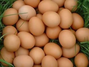 Φωτογραφία για Υγεία: Τα αυγά μπορούν & να μειώσουν την όρεξη!