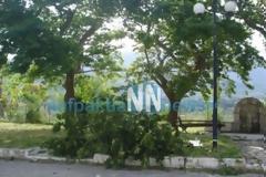 Έσπασαν κλαδιά από πλατάνια στην πλατεία της Γαβρολίμνης από τους θυελλώδεις ανέμους