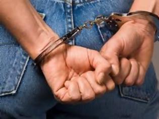 Φωτογραφία για Συνελήφθη στην ευρύτερη περιοχή της Ελασσόνας 28χρονος ημεδαπός που απασχολούσε παράνομα δύο αλλοδαπούς