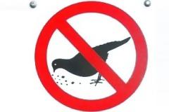 Νόμος που απαγορεύει να ταΐζουμε περιστέρια στη Βενετία;