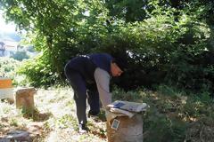 3183 - Μελισσοκομία με κοφίνι στο Άγιο Όρος