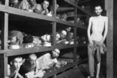 Η Γερμανία θα καταβάλλει 772 εκατ. ευρώ σε επιζώντες του Ολοκαυτώματος