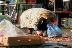 ΤτΕ: Κάτω από το όριο φτώχειας οδηγείται ο μέσος όρος των συντάξεων