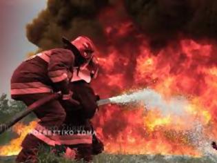 Φωτογραφία για Προκήρυξη 725 Δοκίμων Πυροσβεστών