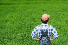 ΕΛΓΑ: Aύριο οι πληρωμές των αγροτών - Ποια ποσά κατανέμονται σε Αχαΐα, Ηλεία, Αιτωλοακαρνανία