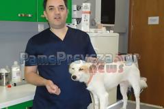 Η ιστορία της Αβγόλας, του θηλυκού 