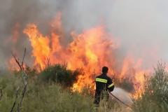 Τρεις φωτιές σε Φθιώτιδα, Βοιωτία και Εύβοια