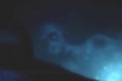 Εξωγήινο πλάσμα εντοπίστηκε στο βυθό της Γροιλανδίας [video]