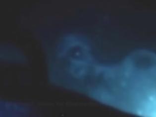 Φωτογραφία για Εξωγήινο πλάσμα εντοπίστηκε στο βυθό της Γροιλανδίας [video]
