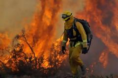 Φωτιά στην Αλίαρτο Βοιωτίας