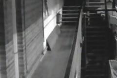 Το βίντεο που κάνει το γύρο του κόσμου: 