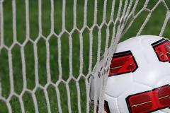 Αδειοδοτήθηκαν Παναθηναϊκός και ΠΑΣ Γιάννινα