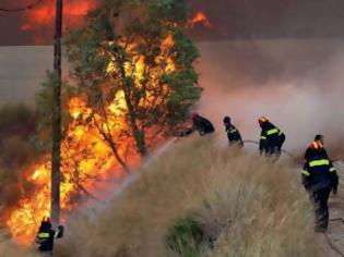 Φωτογραφία για Από ανθρώπινο χέρι οι καταστροφές στα Χανιά - Συνέλαβαν ύποπτο για εμπρησμό