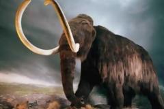 Πλησιάζει η ανάσταση των μαμούθ;