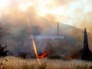 Φωτογραφία για Μεγάλη φωτιά στην Αλίαρτο - Απειλήθηκαν σπίτια [video]