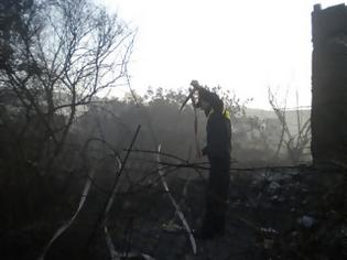 Φωτογραφία για Χανιά: Δύο οι συλλήψεις για τις καταστροφικές πυρκαγιές