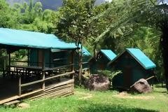 ΕΟΠΥΥ: ποιοι δικαιούνται δωρεάν φιλοξενία σε κατασκηνώσεις. Όλα τα δικαιολογητικά