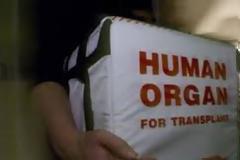 Σε ισχύ από την 1η Ιουνίου ο νέος νόμος για τη δωρεά οργάνων! Τι λέει το Κίνημα Δεν Πληρώνω [video]