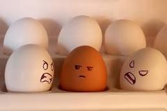 Αφίσες με ρατσιστικό μήνυμα στο Αιτωλικό